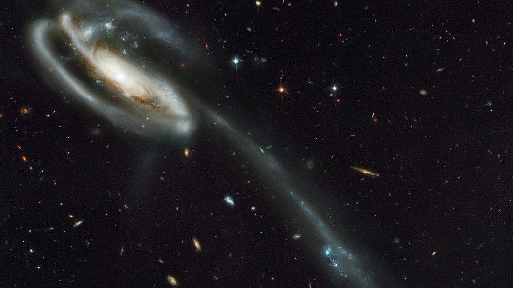 Tadpole Galaxy
