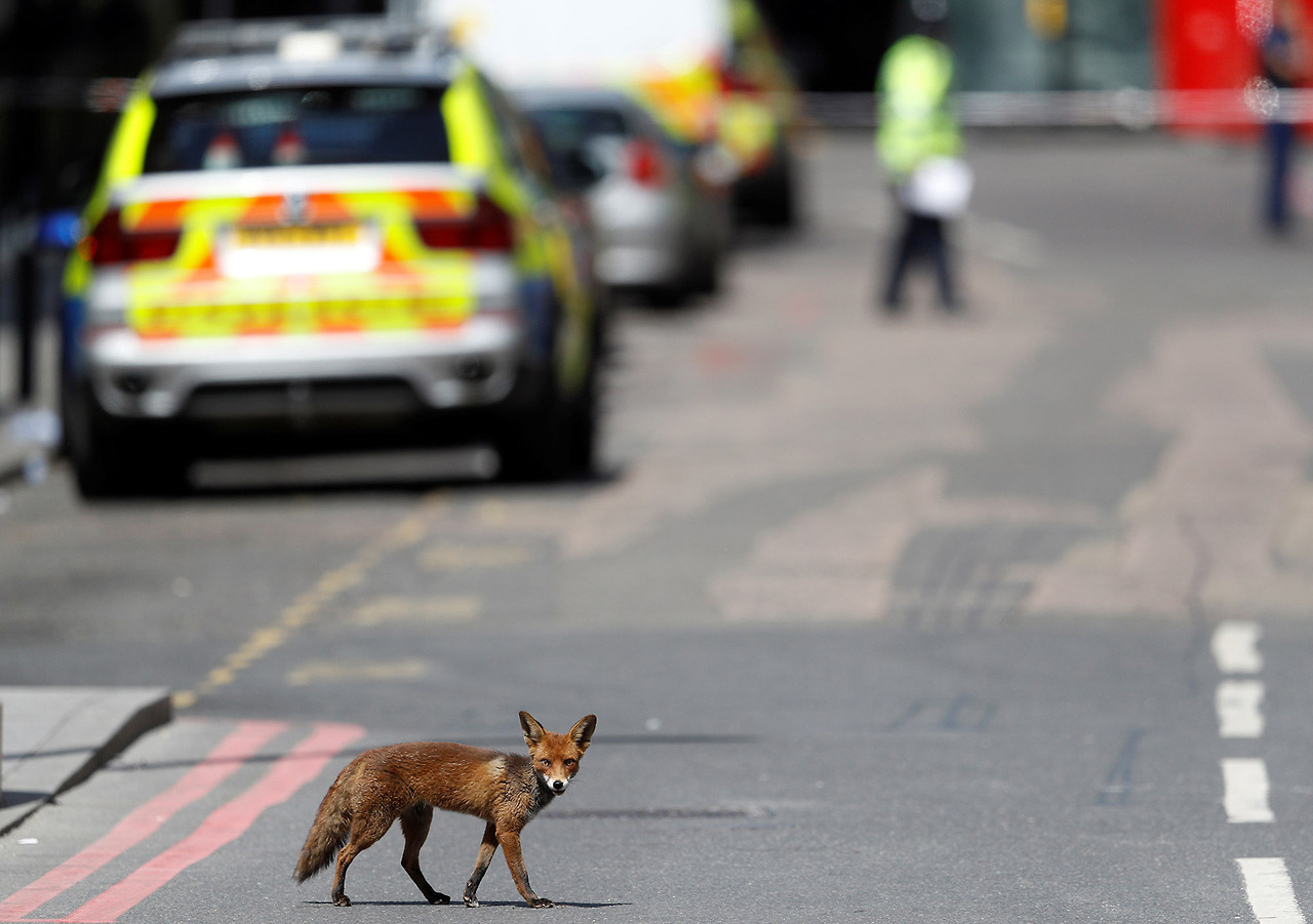 Peter Nicholls / Reuters